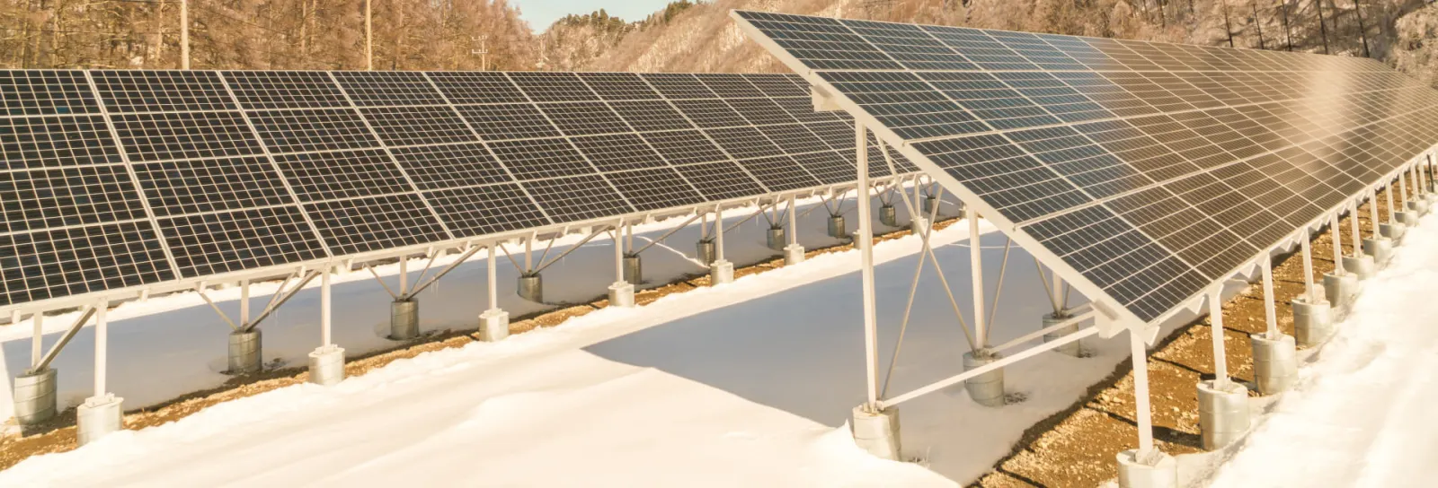 Solar Water Pumps